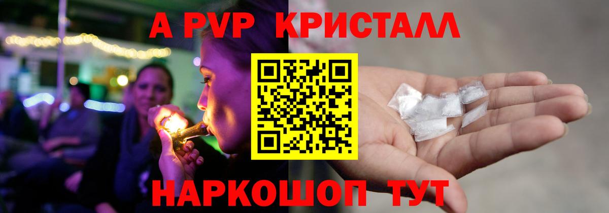 A PVP СК КРИС Новоалтайск