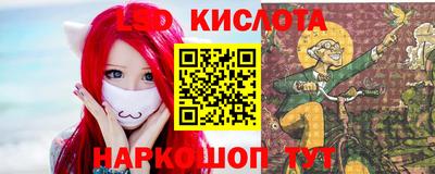 кокс Донской
