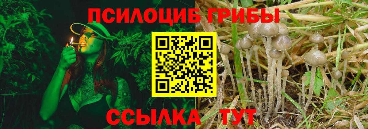 Новоалтайск  Псилоцибиновые грибы GOLDEN TEACHER  Вход с VPN 